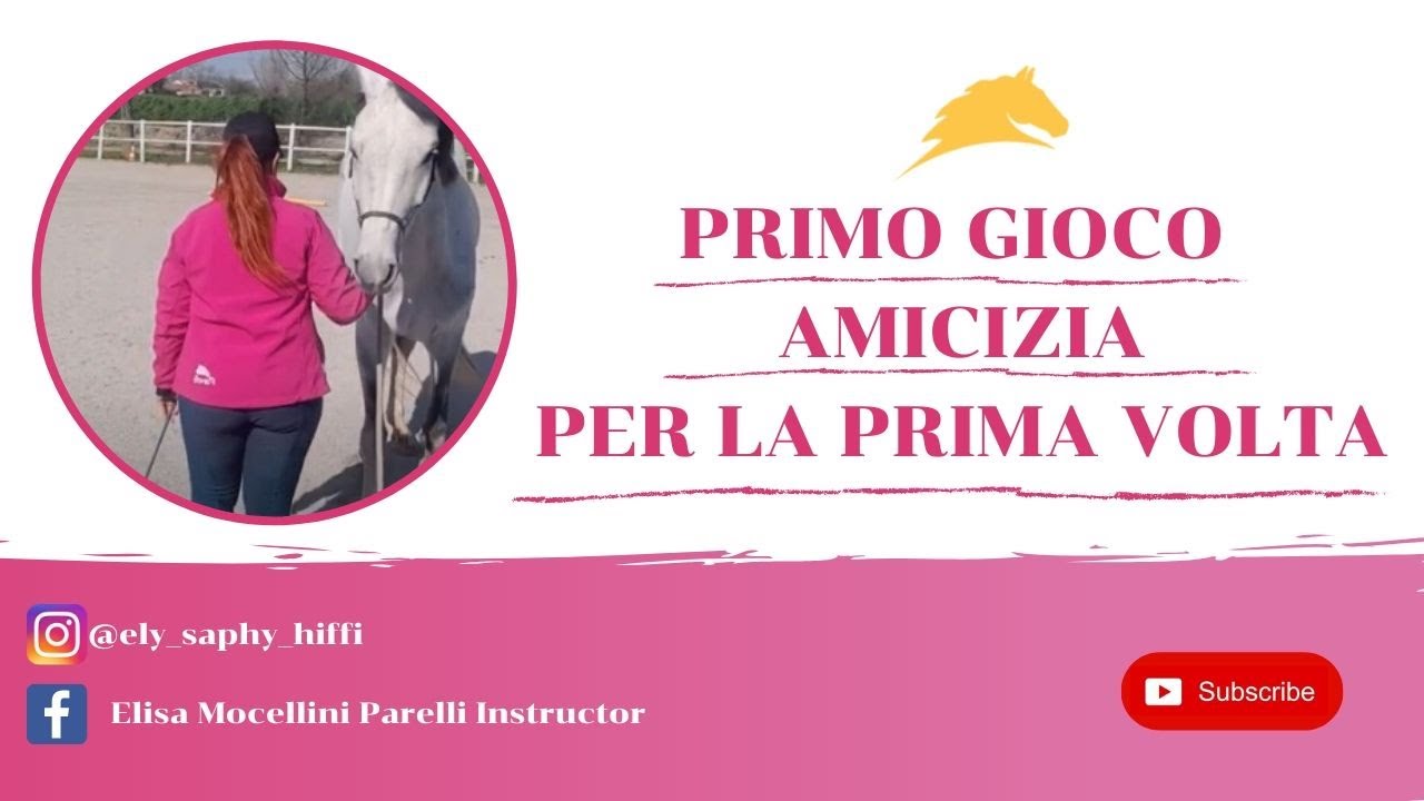 GIOCO DELL'AMICIZIA | LA PRIMA VOLTA | ELISA MOCELLINI