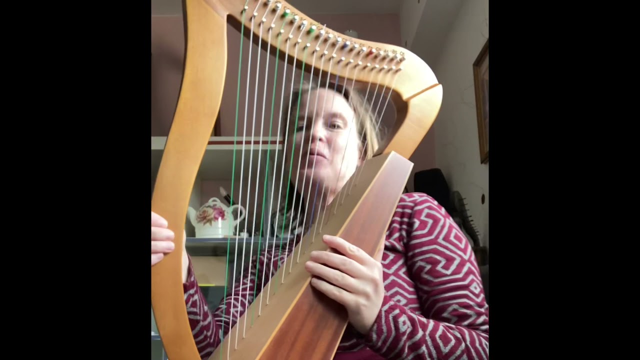 19-string harp, bought on Amazon