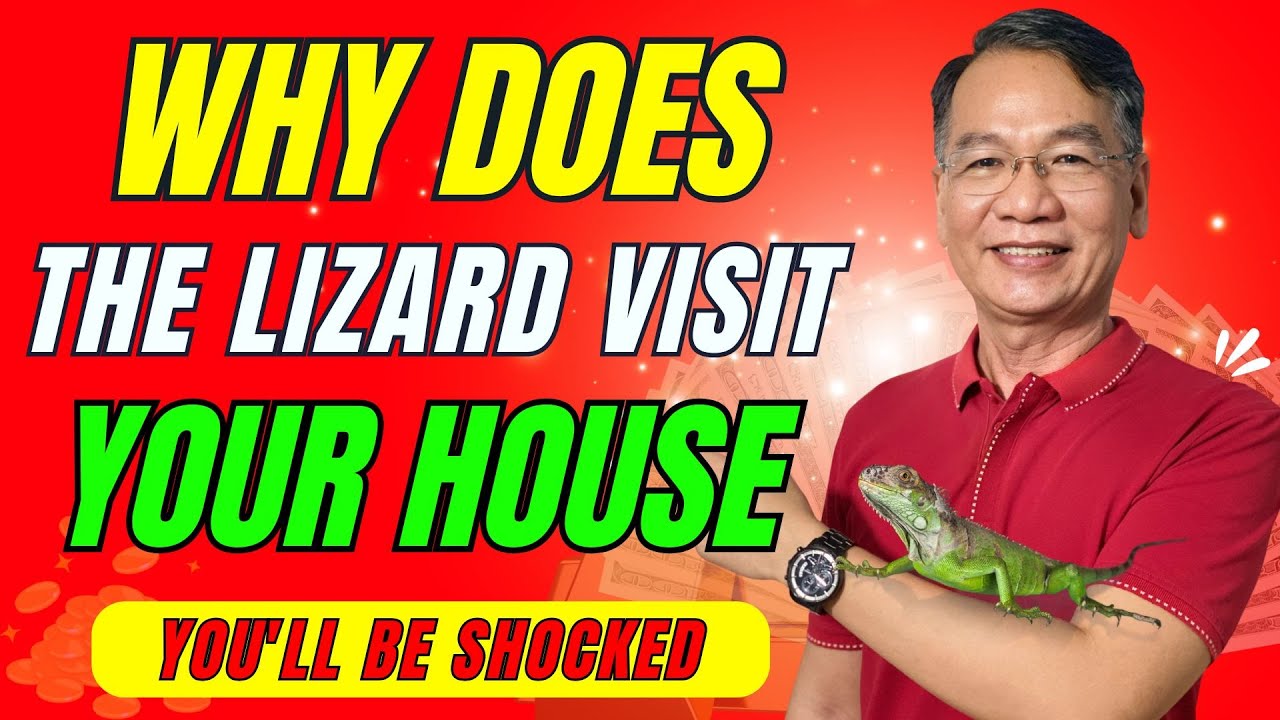 The Spiritual Meaning Of The Lizard In Your House - You'll Be Shocked | Buddhist Teachings