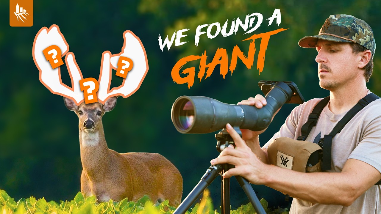 MASSIVE BUCK REVEALED!! We SHOULDN&rsquo;T Show This! Summer Scouting