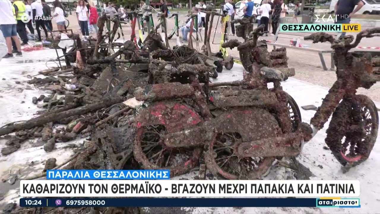 Παραλία Θεσσαλονίκης: Καθαρίζουν τον Θερμαϊκό - Βγάζουν μέχρι παπακιά και πατίνια | 10/09/2024