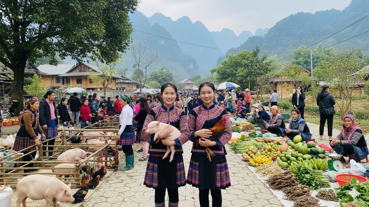 Vietnamese Market - where unique herbs are sold - strange pigs and dogs