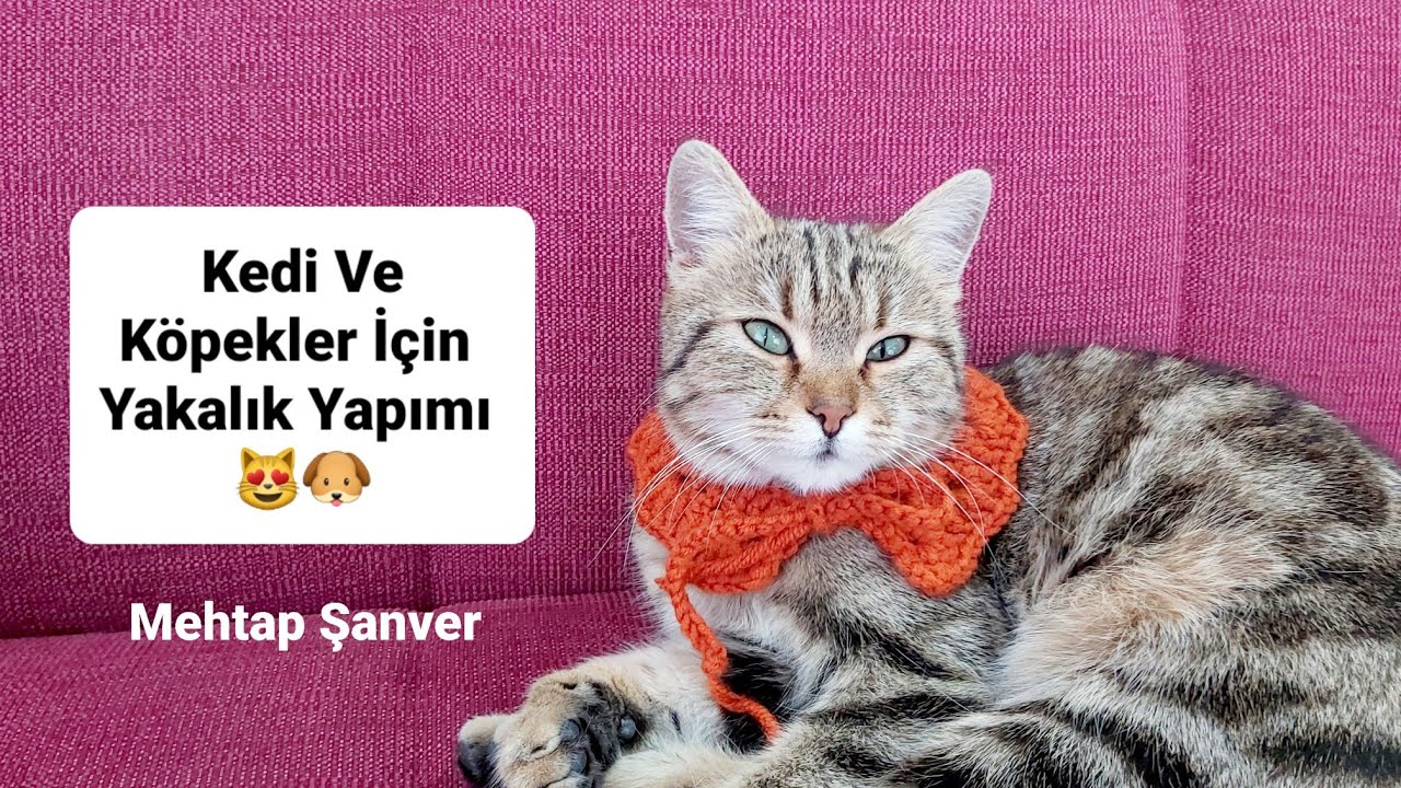 📣10 dakikada ör bitir yakalık yapımı😻 #yakalıkyapımı #pinterest #crochet #cats #kedi #tutorial #fy 
