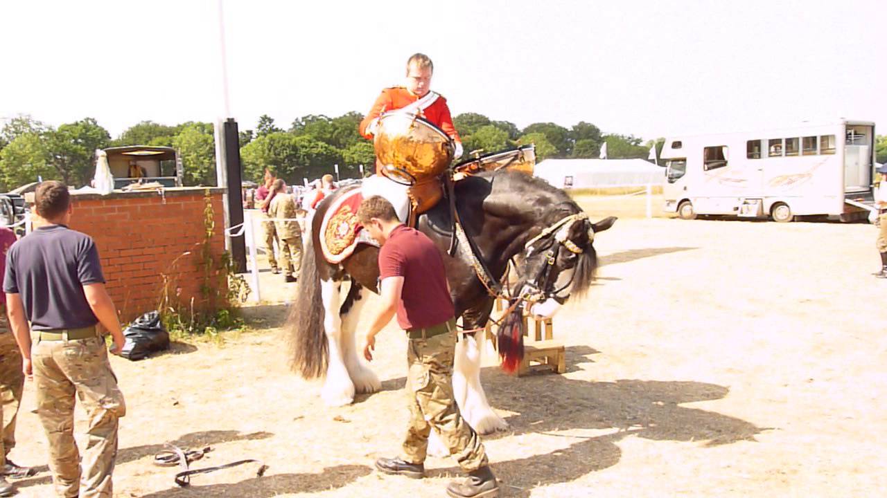 Drum Horse