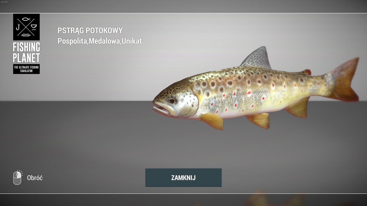 Fishing Planet Tiber River Italy Unique Creek Brown Trout | Unikatowy Pstrąg Potokowy #fishingplanet