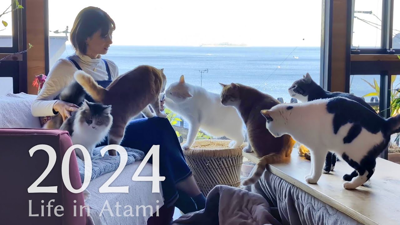 #100 【2024総集編】南熱海の家の宝物｜ネコ6匹暮らしの1年