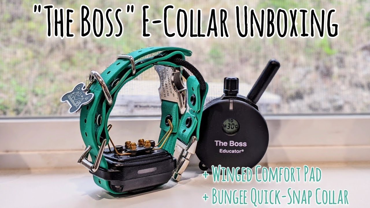 E-Collar Unboxing | 
