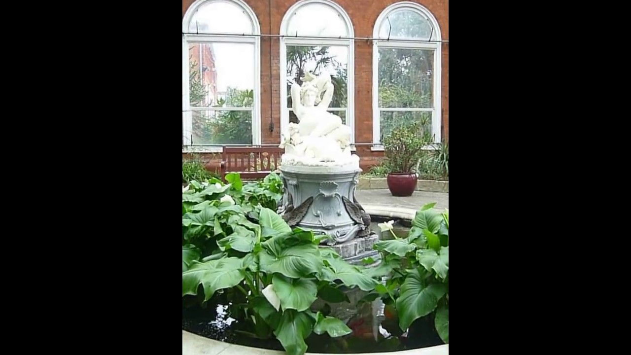 Avery hill winter garden History.  by Lorraine Jones , the gardener for 16 years