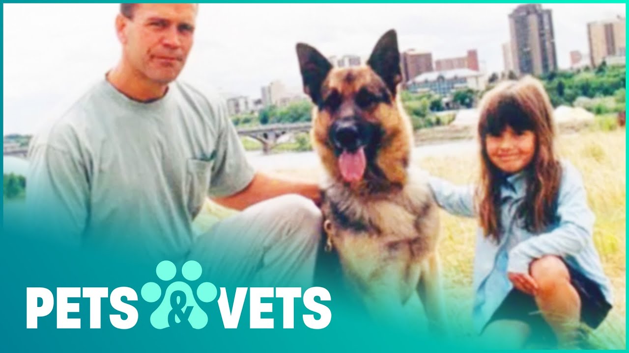 How One Dog's Sacrifice Saved The Lives Of Thousands | Pet Heroes