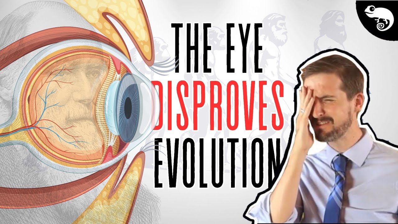 Evolutionary Biologist Demonstrates How Eyes Evolved