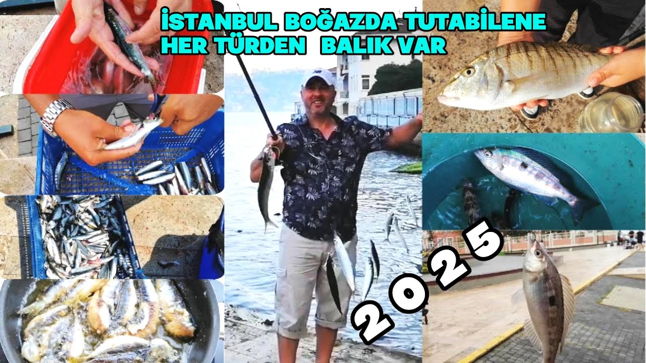 SARDALYA BALIK AVI  VE YEMLİ İZMARİT VE MIRMIR AVI/ İSTANBUL BOĞAZI.. #fishing #balikcobanii