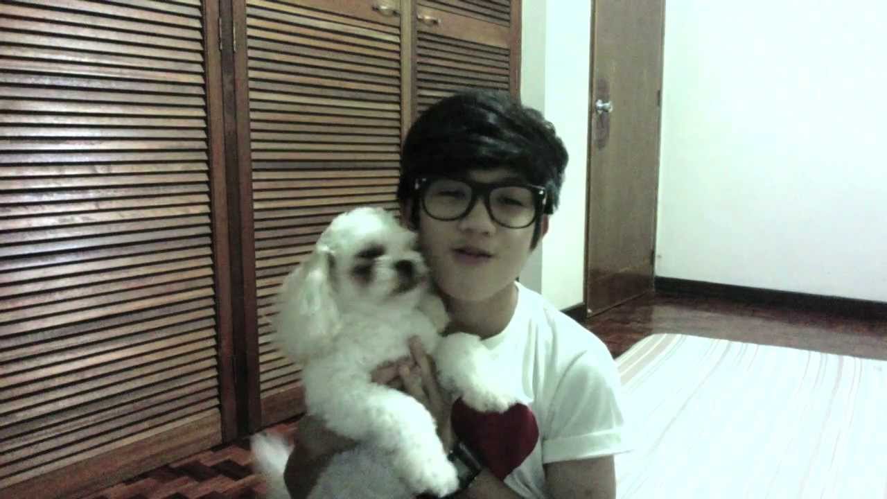 Meet My Dog