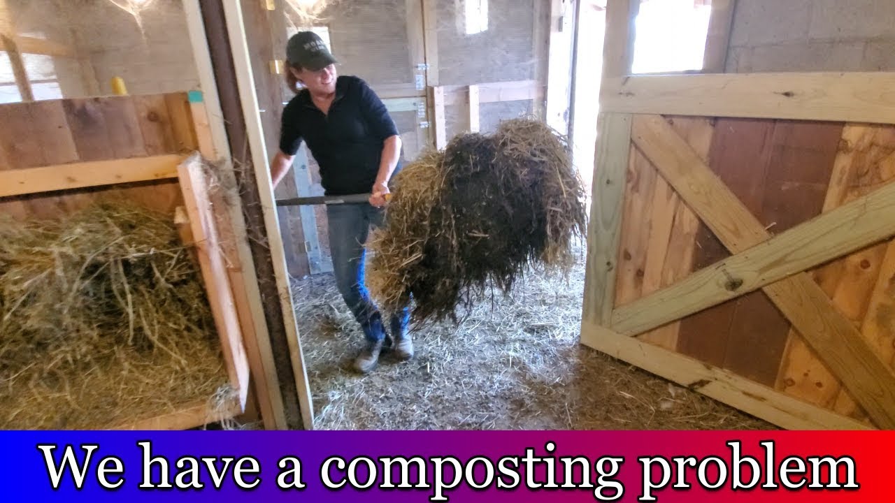 Uh Oh,  We have a compost problem!  Cleaning out the goat stalls and livestock barn..