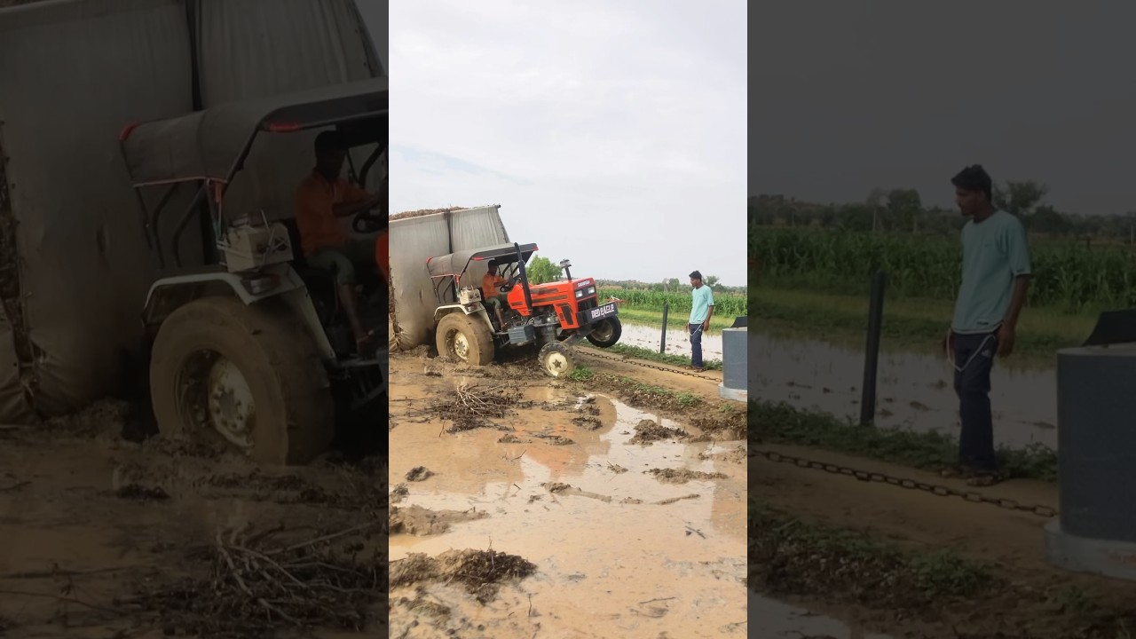 Swaraj 855 stuck in mud loader pulling tractor trolley #tractor #loader #shorts