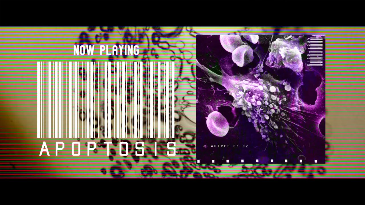 Wolves Of Oz - Apoptosis (Official Lyric Video)