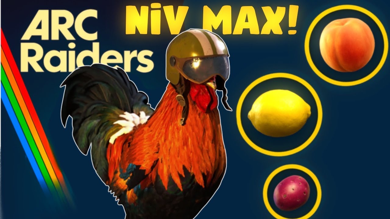 ARC RAIDERS : OBTENIR tous les objets pour monter facilement COQUILLARD LE COQ au niveau MAX