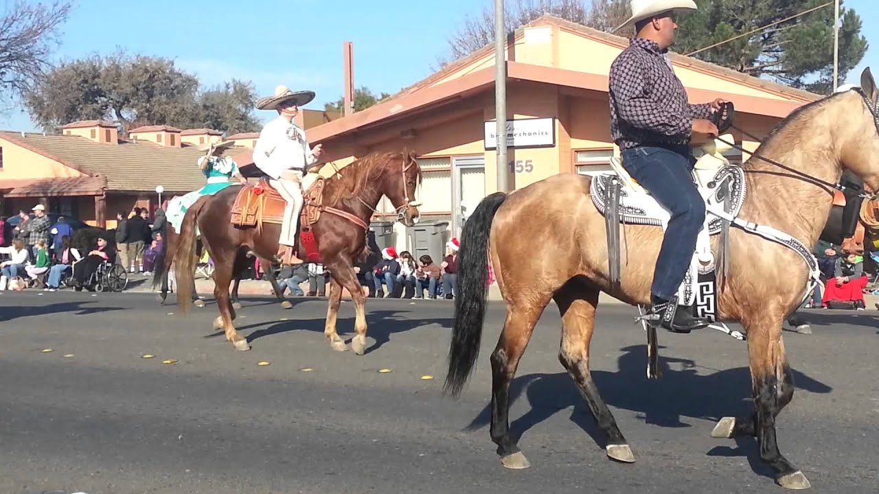 Christmas parade IN WOODLAND CA 12-14-2013 PART 7
