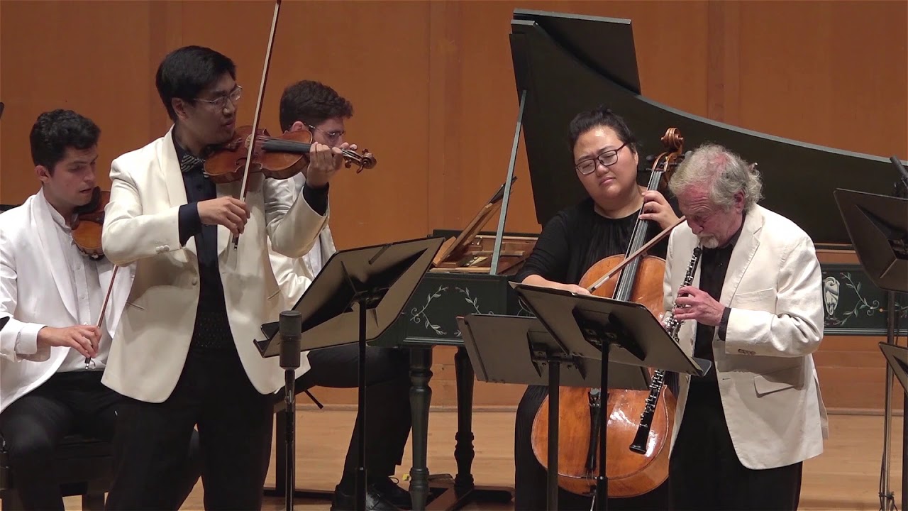 J. S. Bach - Concerto for Violin and Oboe in C Minor, BWV 1060R