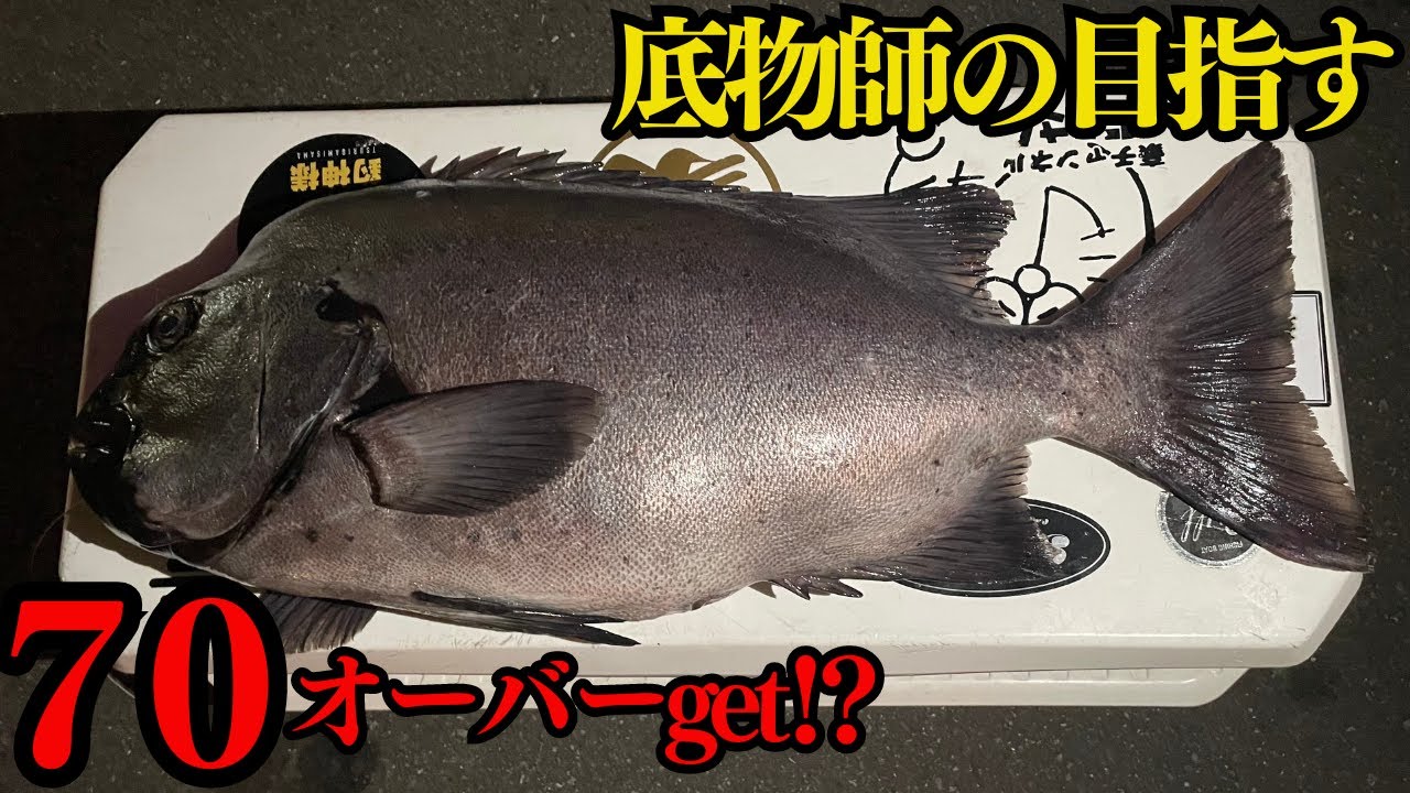 【石鯛釣り】底物師が目指す!!７０オーバー捕獲⁉