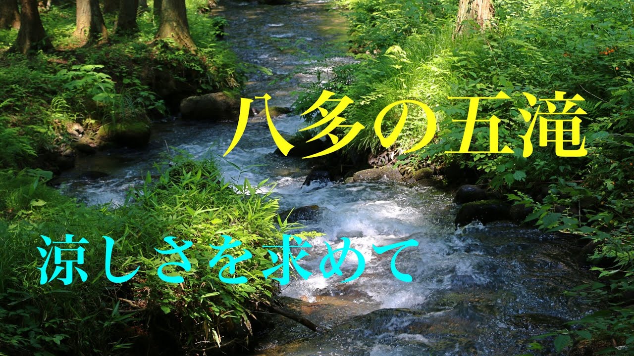 ハ多の五滝【涼しさを求めて】徳島市で最も高い標高772.9メートルの中津峰山から流れる八多川に沿って山を登ると様々な滝を見ることができます。