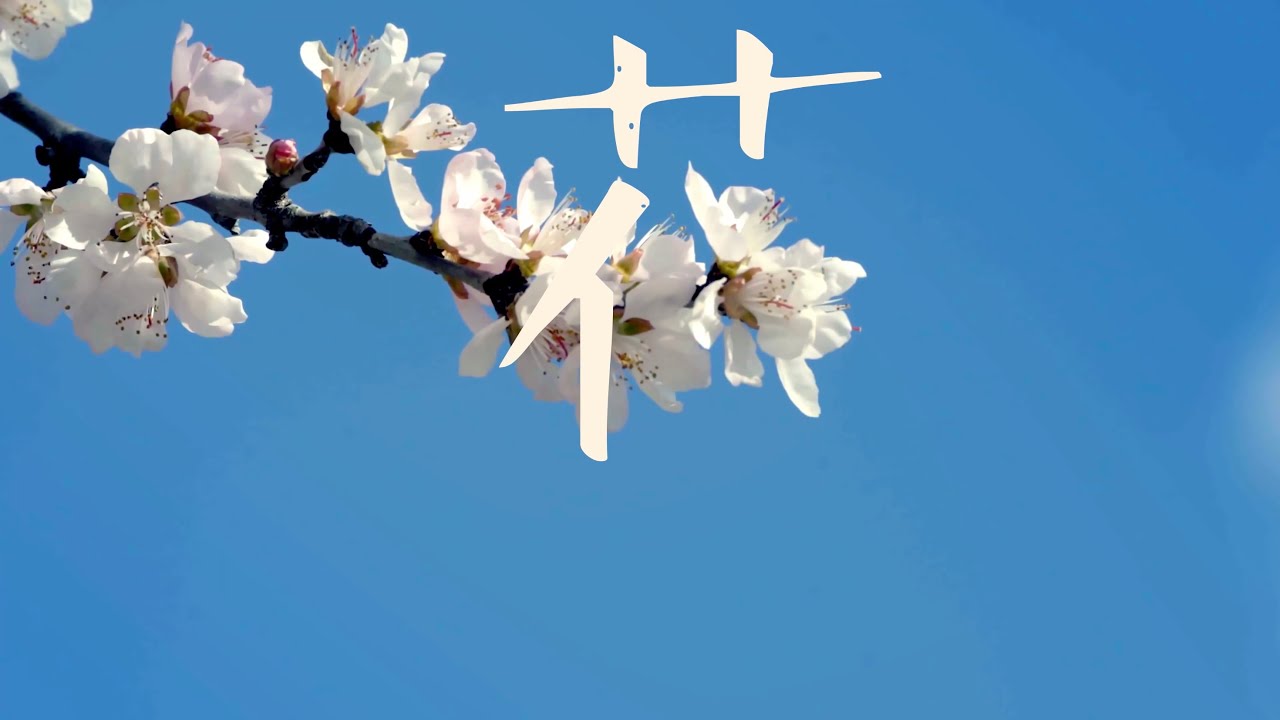 Wild Chinese Characters at NENU