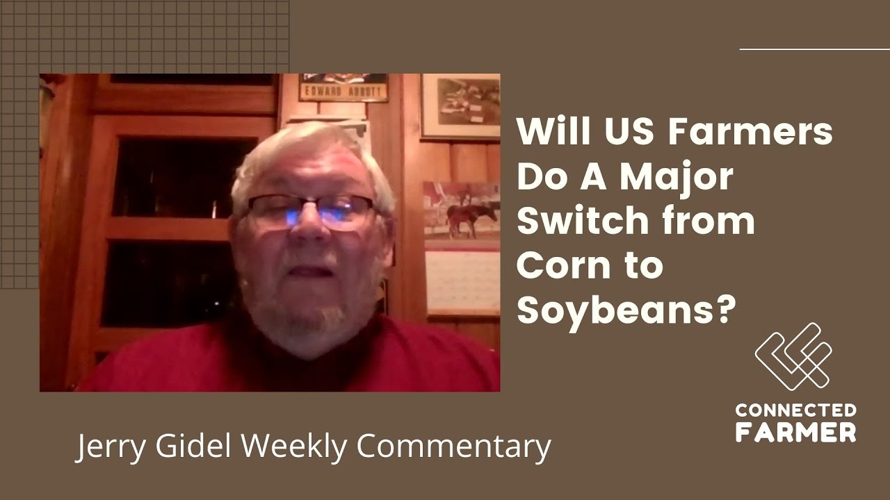 Will US Farmers Do A Major Switch from Corn to Soybeans?