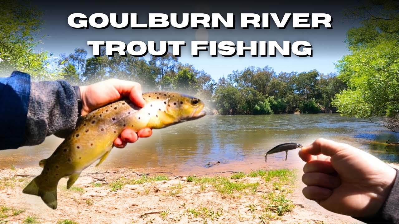 Goulburn River Trout Fishing: Top Trout Fishing Tips for High and Fast Flowing Water