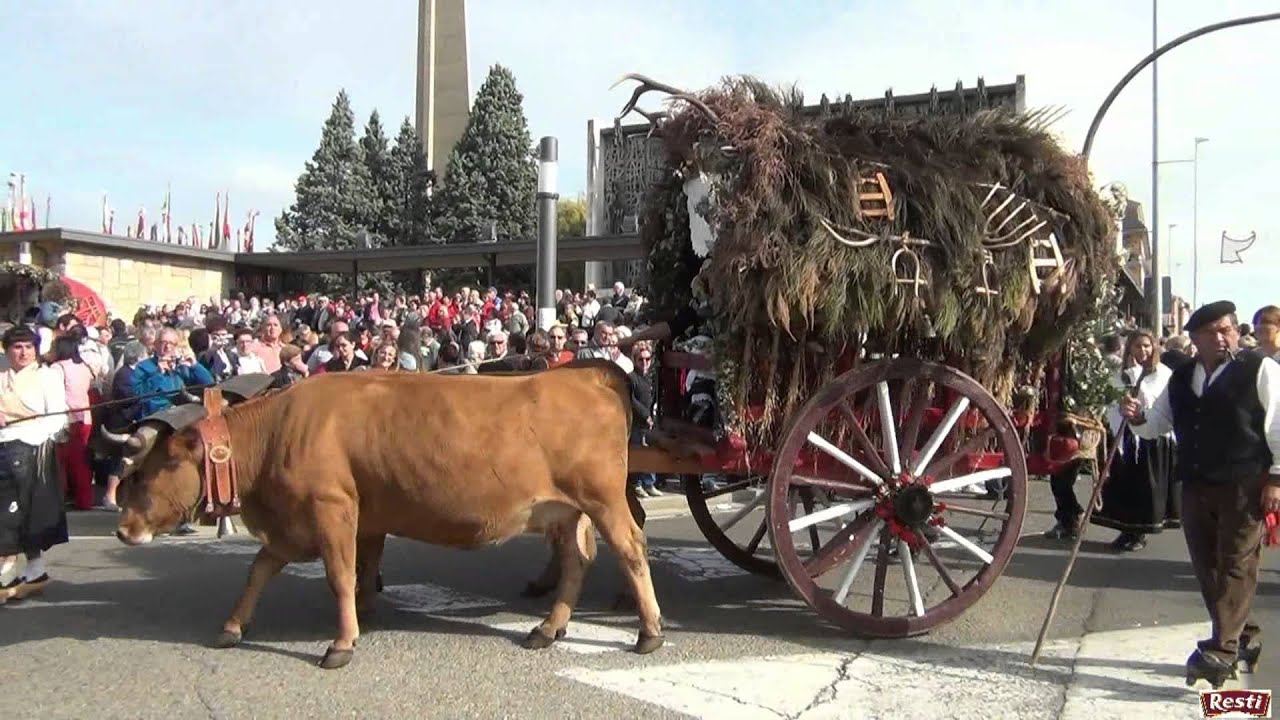 Romería de San Froilan.Virgen del Camino 2014