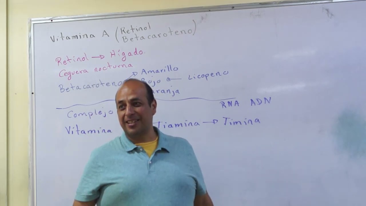 Función de las vitaminas en el cuerpo (1/3)
