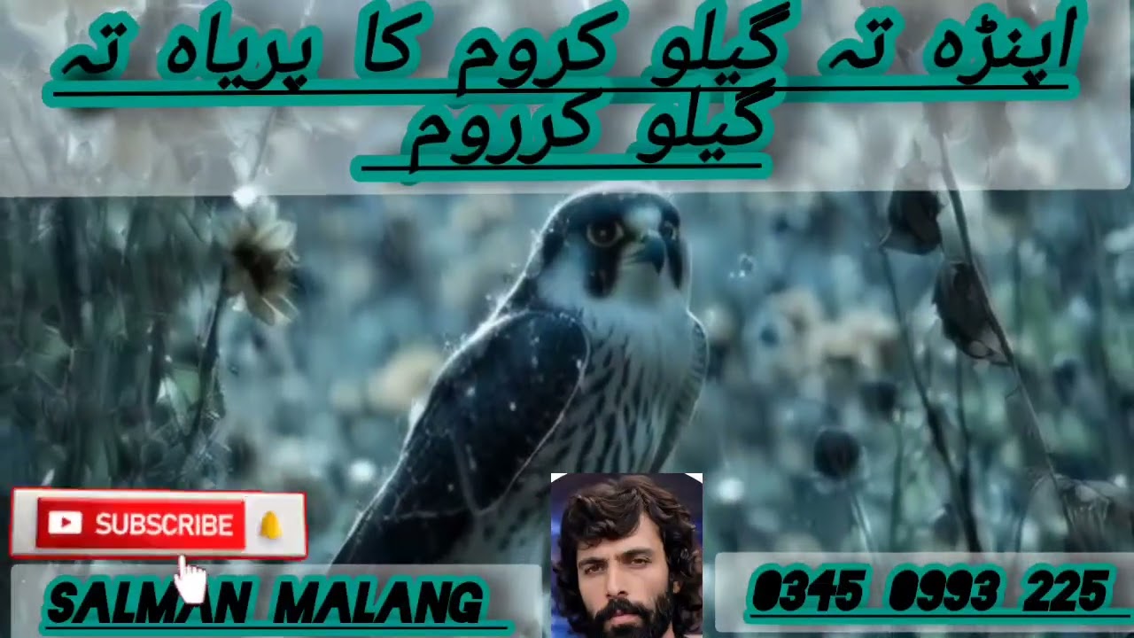 گجرئ زبان مہ، اپنڑہ تہ گیلو کروم کا پریاہ تہ گیلو کرروم، SALMAN MALANG, GUJJARI ZUBAN, POEM 