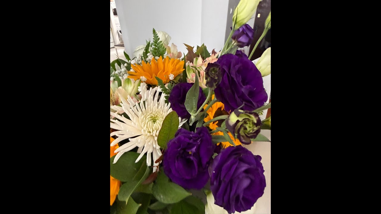 -ШАБАТ ШАЛОМ🌸☘️🌸слово рэма морэ- Мафусаил🌴🌿🌴20.02.26