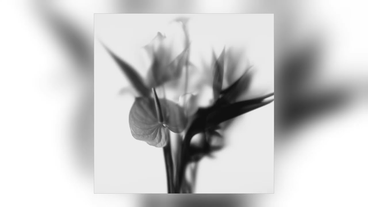 Okkre - Blanco (fatalism Remix) [feat. fatalism] [Audio]