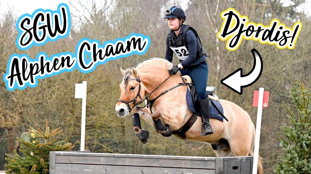 Kijk wie we tegenkomen in Alphen Chaam! | felinehoi VLOG #108