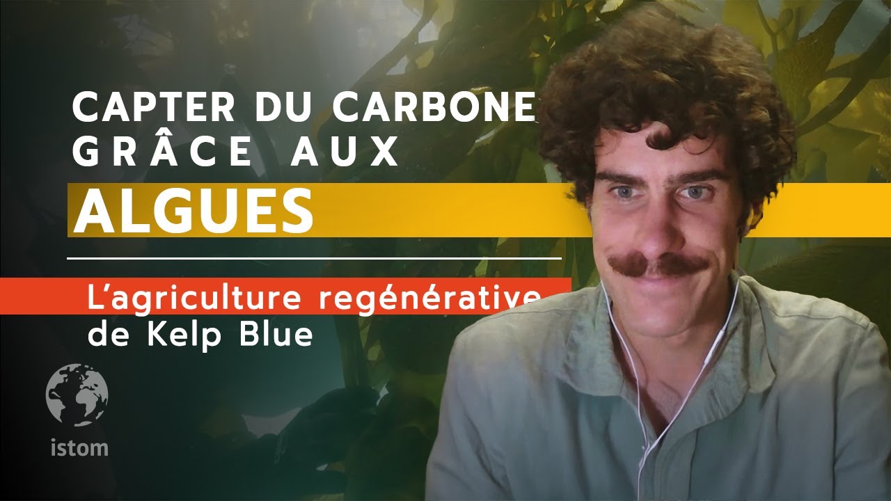 Capter du Carbonne grâce aux algues - l'agriculture régénérative