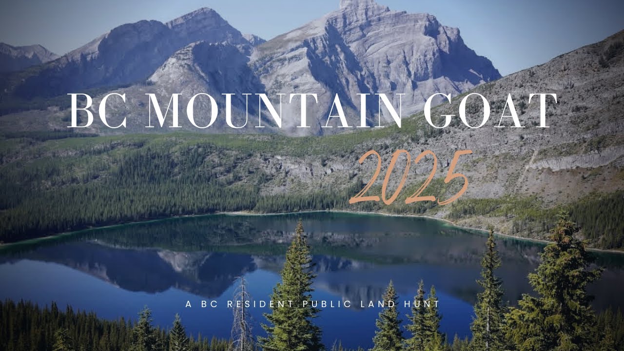 Охота на горного козла в Британской Колумбии в 2025 году - Hunting BC