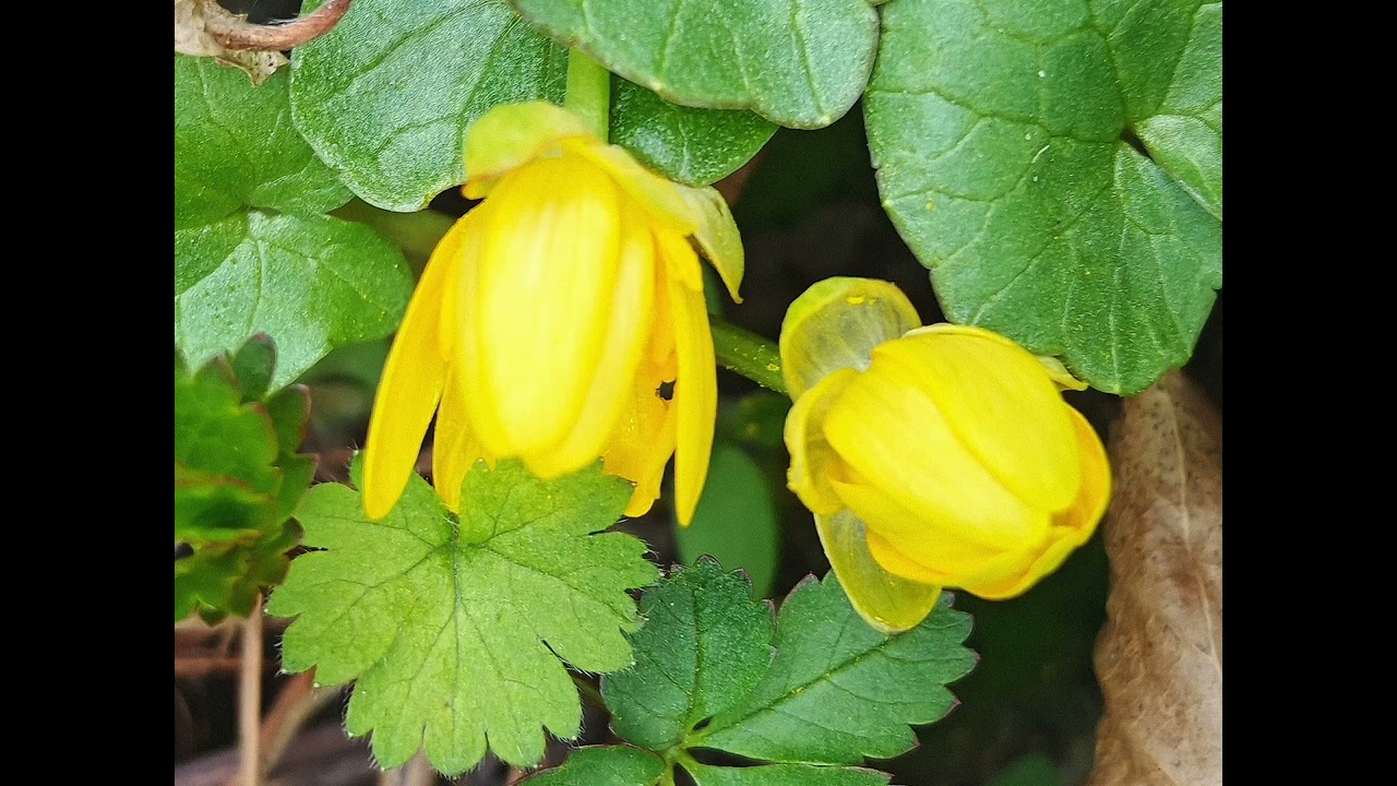 Co umie nam pomóc odkryć głębszy sens życia. 