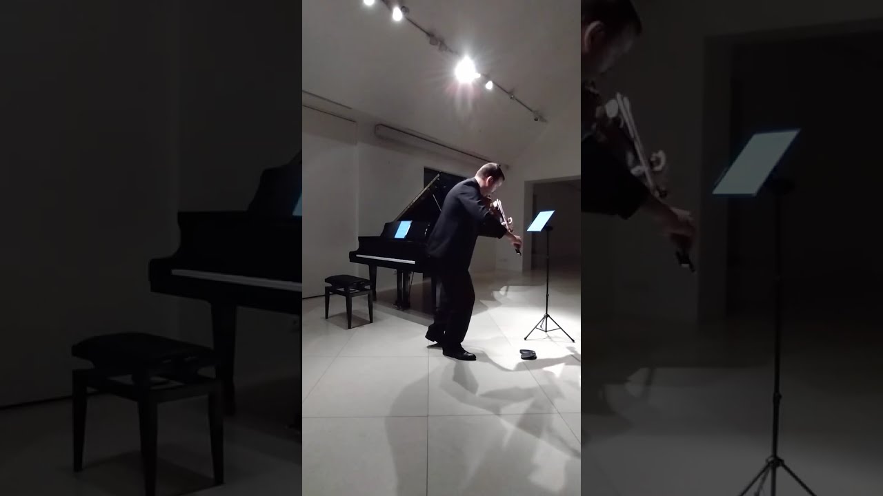 J.S. Bach - Ciaccona, from Violin Partita No.2, BWV 1004 - VIOLA VERSION