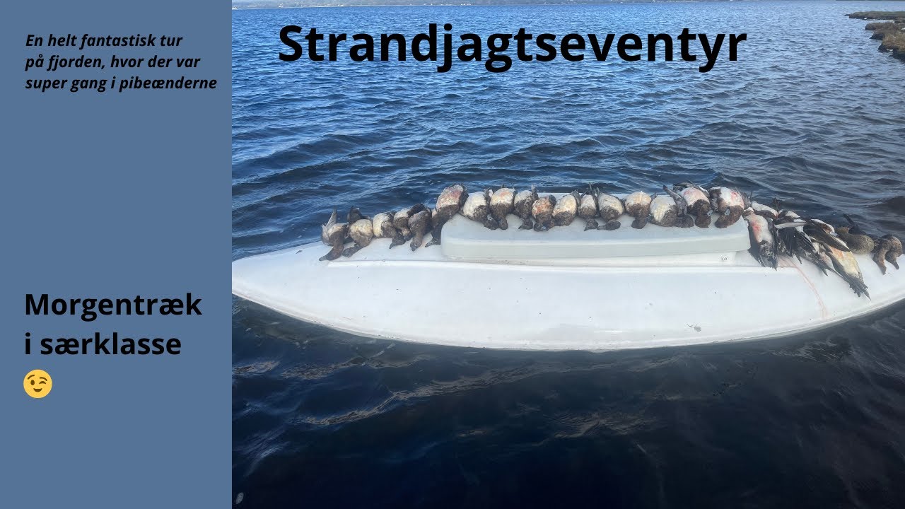 Fantastisk strandjagt 14.10.2024