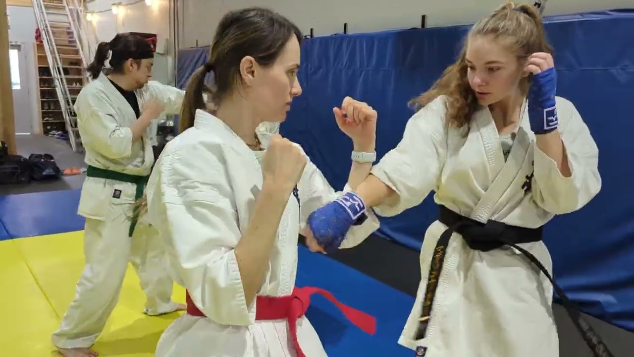 Kyokushin Karate Partner Drills – Body Block Training