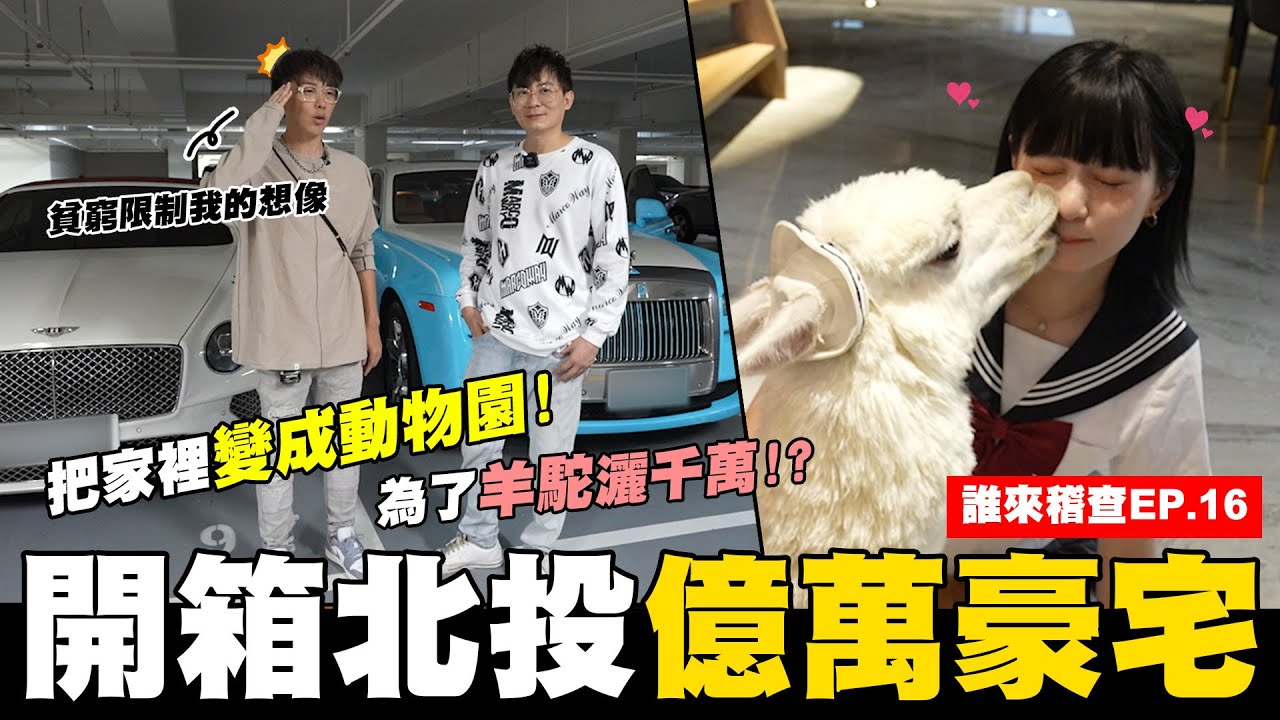 開箱北投億萬豪宅🏡✨ 把家裡變成動物園 😲竟為了羊駝灑千萬💸 #誰來稽查│WACKYBOYS│反骨男孩│ @imlyla1112 @bored_raccoon_kevin  @Empty1207