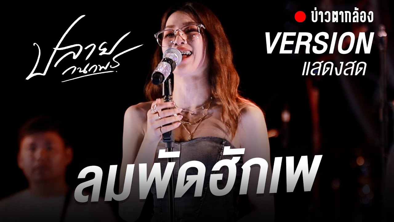 ลมพัดฮักเพ - ปลาย กนกพร | แสดงสด