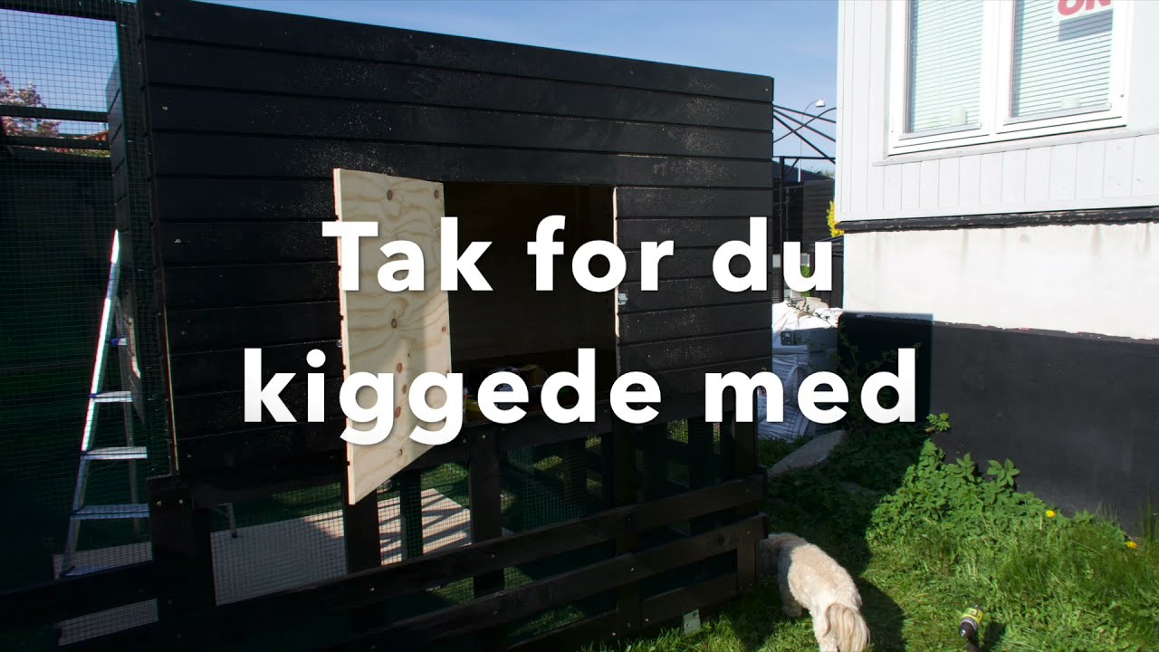 Hønse hygge i forhaven   hønsehus bygges