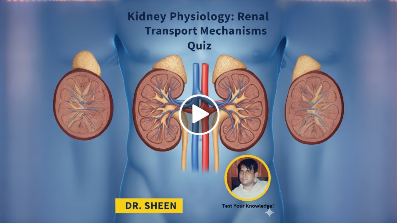 Kidney Physiology  Renal Transport Mechanisms Quiz-3