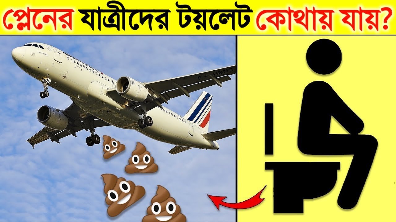 বিমানের যাত্রীদের টয়লেট কোথায় যায় জানলে অবাক হবেন | What Happens When You Flush An Airplane Toilet