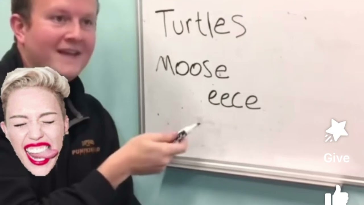 English Language, Plural Form: Turtle, Goose, Moose&hellip;.. Go!