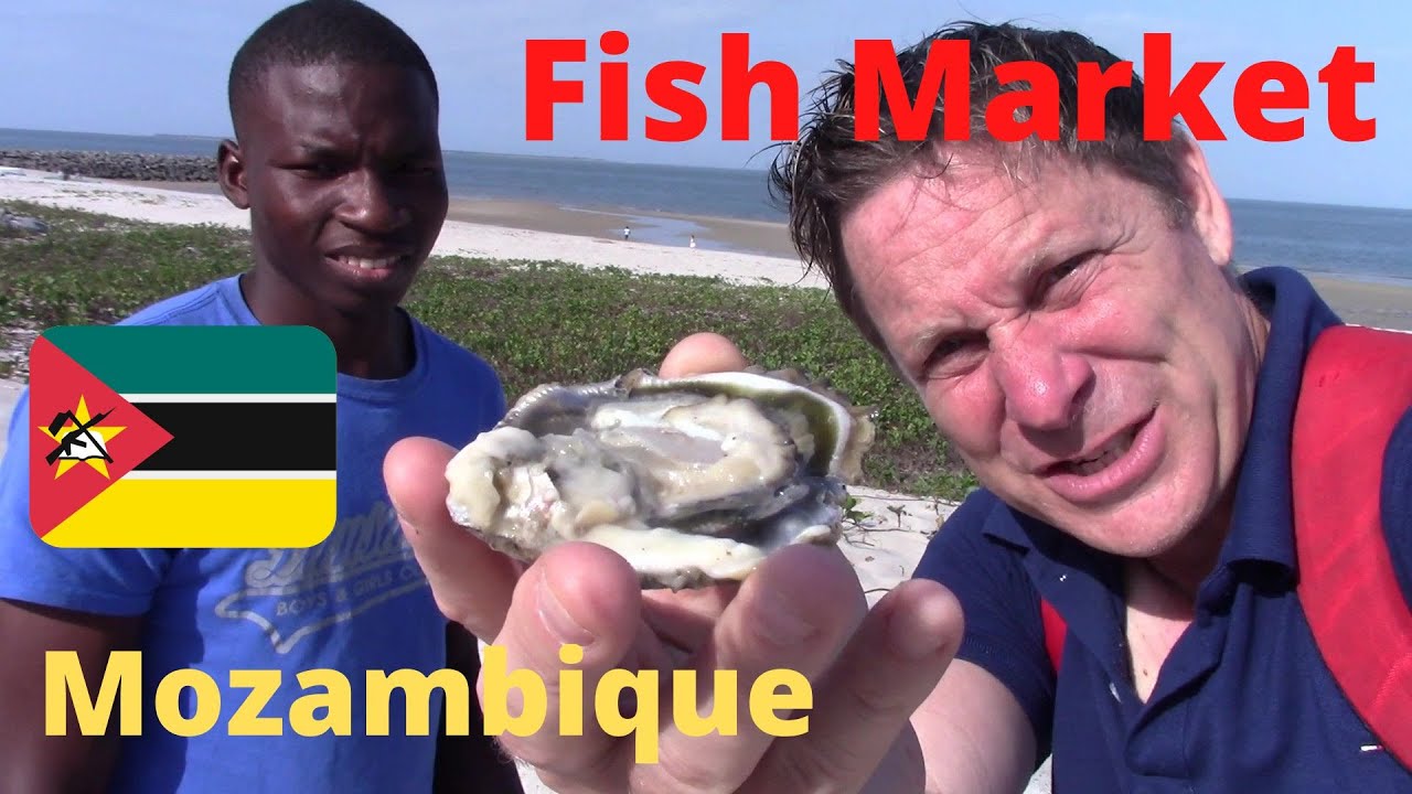 🇲🇿  Maputo FISH MARKET:  Colorful & Chaotic Mercado de Peixe  {Budget Travel Maputo, MOZAMBIQUE}