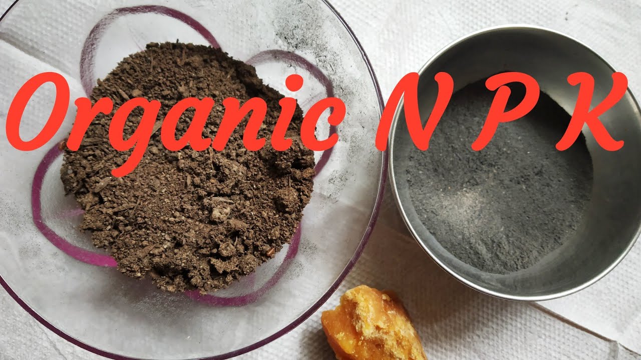 घर पर बनाये Organic N P K  fertilizer.. 💯% result...How to make organic NPK