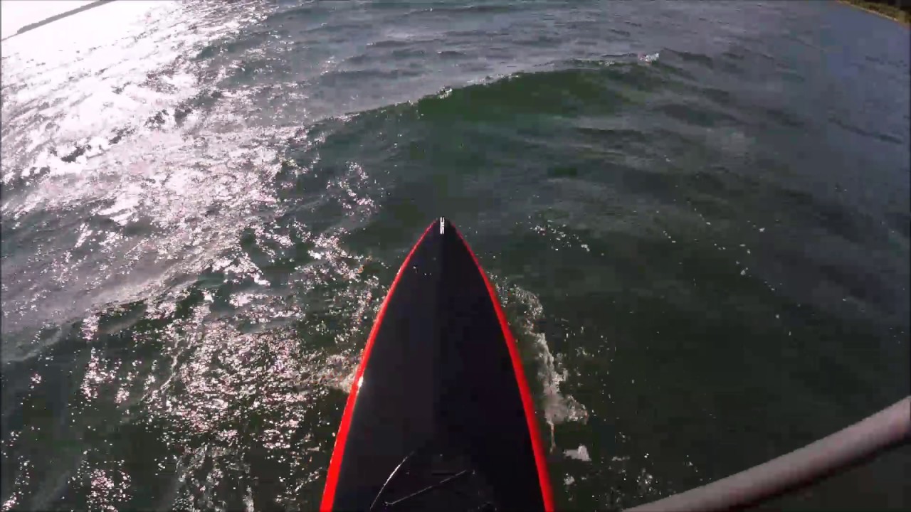 SIC Bullet F-14 (custom)