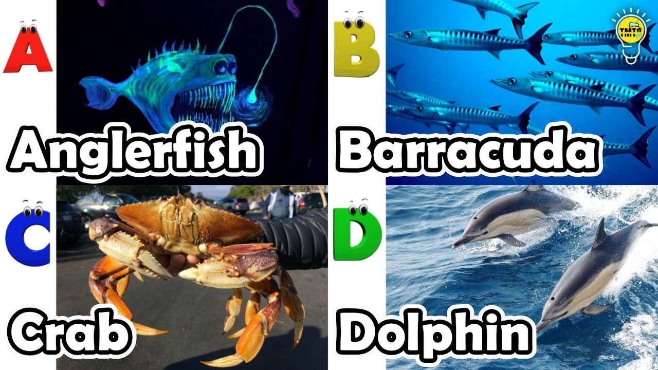 ABC Sea Animals Song | Phonics Alphabet for Kids | Learn Ocean Animals from A to Z