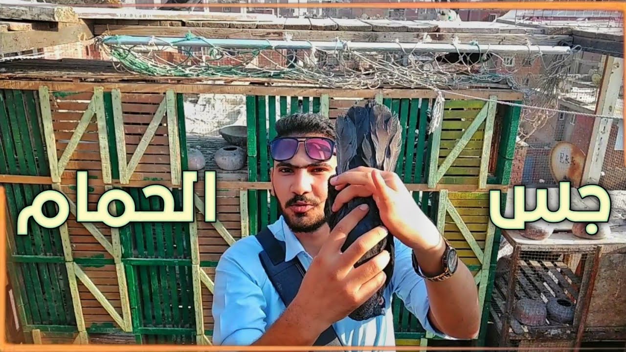 ازاي اعرف ان النتاية عليها بيضه علشان مايضحكش عليا